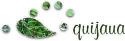 Quijaua Logo